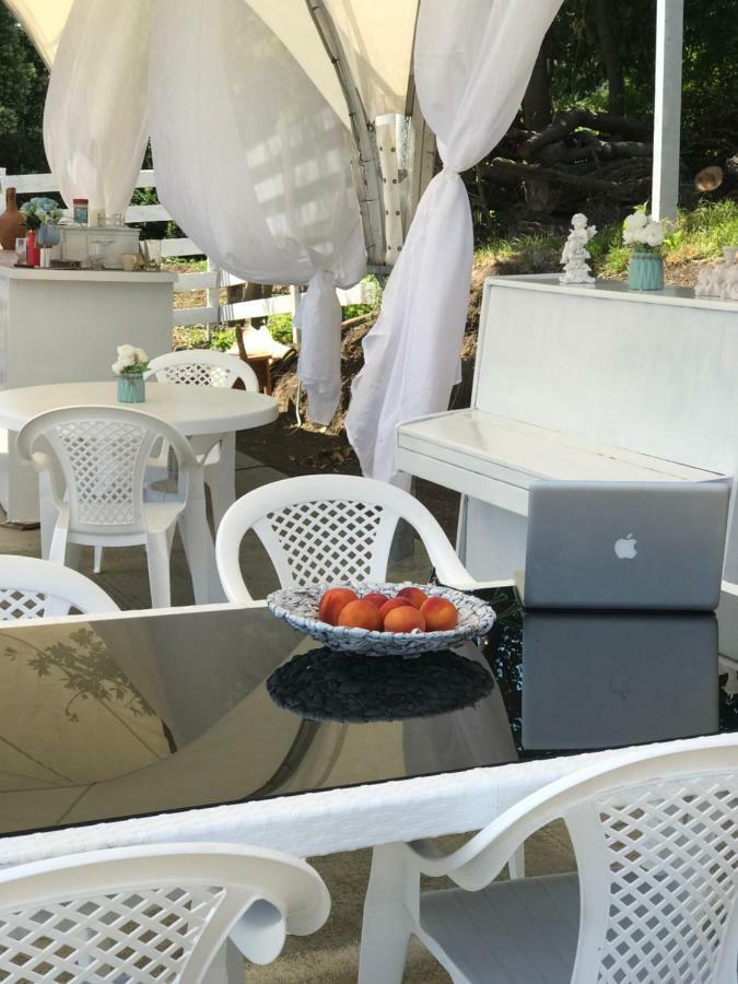 Palm Hotel New Athos 외부 사진